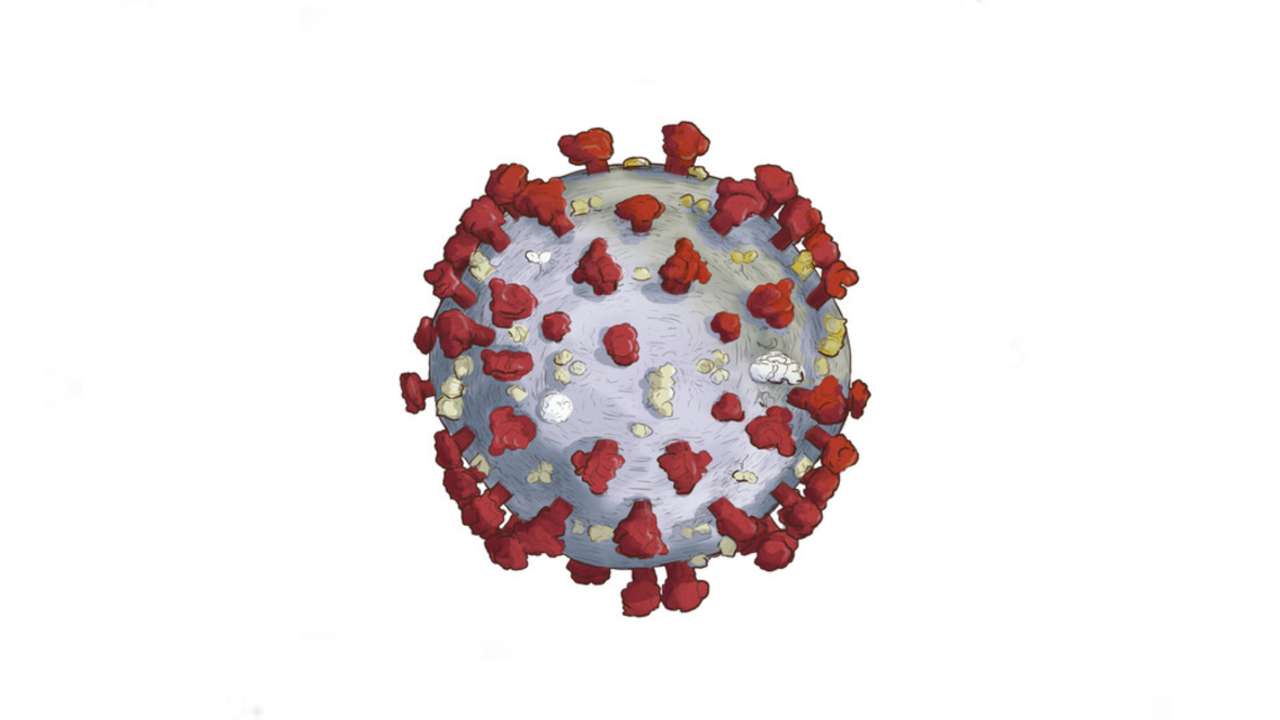 896348 coronavirus 1