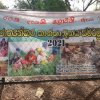 ජාත්‍යන්තර කාන්තා දිනය